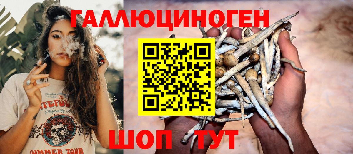 Еманжелинск  Псилоцибиновые грибы мицелий  Галлюциногенные грибы мицелий  Вход с VPN 